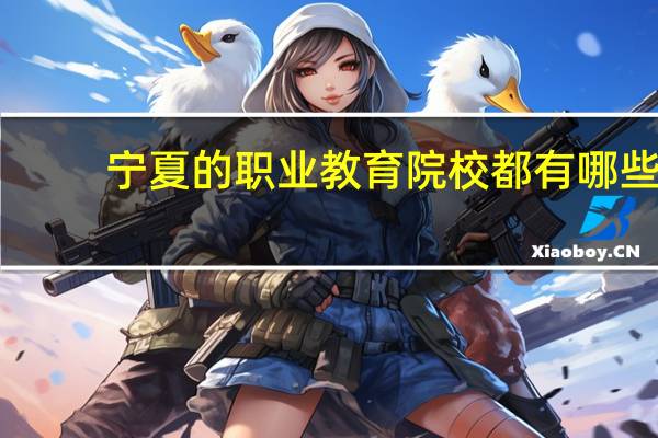 宁夏的职业教育院校都有哪些