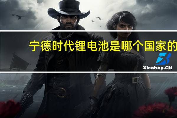 宁德时代锂电池是哪个国家的