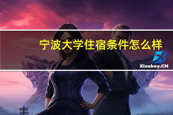 宁波大学住宿条件怎么样