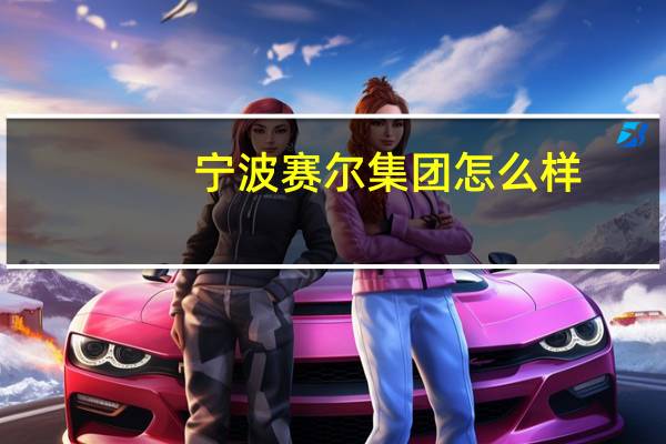 宁波赛尔集团怎么样