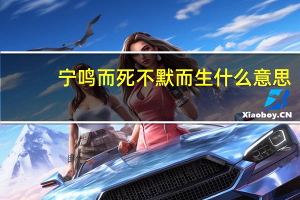 宁鸣而死不默而生什么意思