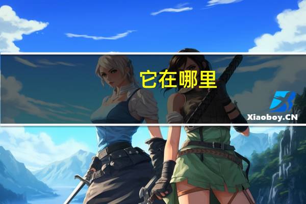它在哪里_