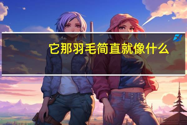 它那羽毛简直就像什么