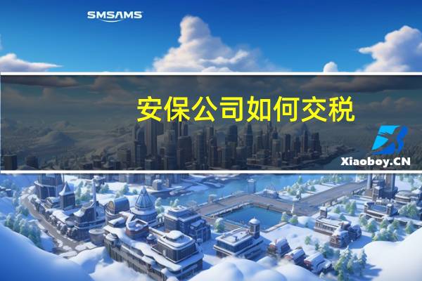 安保公司如何交税