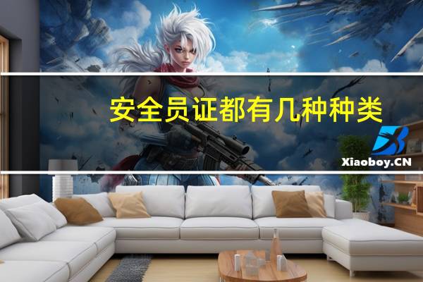 安全员证都有几种种类
