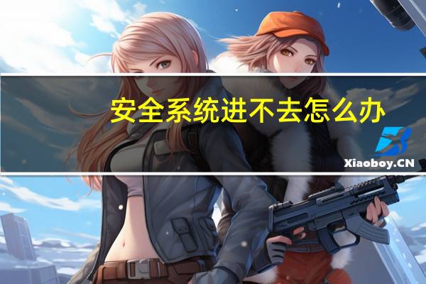安全系统进不去怎么办