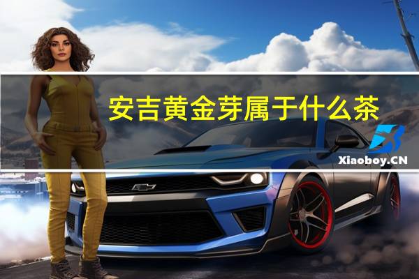 安吉黄金芽属于什么茶