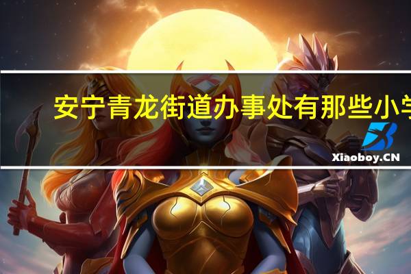 安宁青龙街道办事处有那些小学
