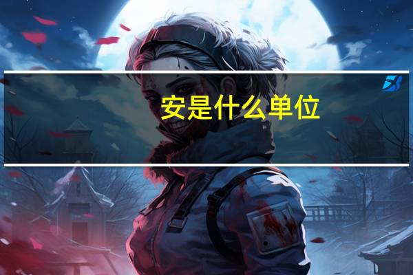 安是什么单位