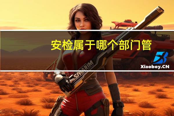 安检属于哪个部门管
