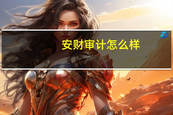 安财审计怎么样