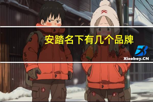 安踏名下有几个品牌