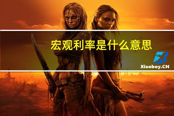 宏观利率是什么意思