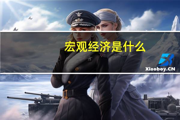宏观经济是什么