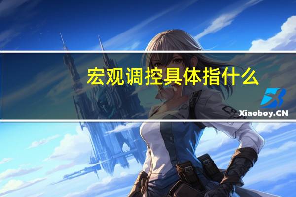 宏观调控具体指什么