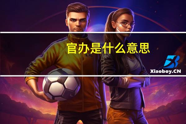 官办是什么意思