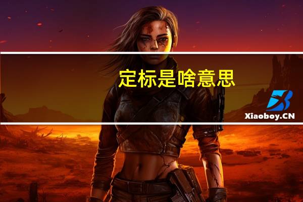 定标是啥意思