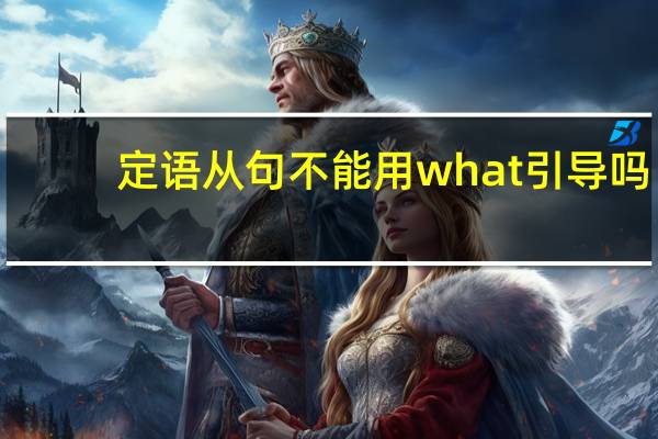 定语从句不能用what引导吗