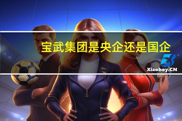 宝武集团是央企还是国企