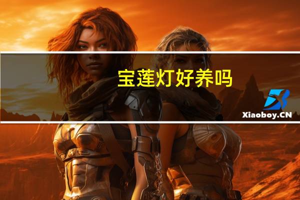 宝莲灯好养吗