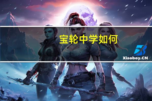 宝轮中学如何