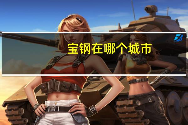 宝钢在哪个城市