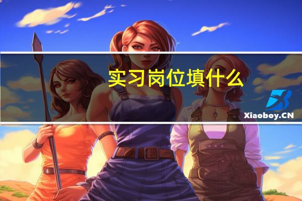 实习岗位填什么