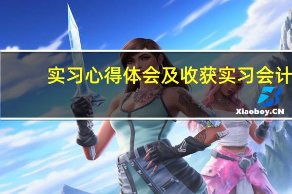实习心得体会及收获实习会计