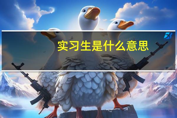 实习生是什么意思