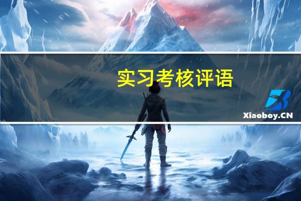 实习考核评语