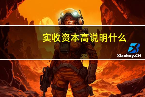 实收资本高说明什么