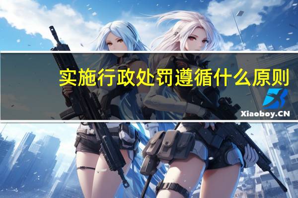 实施行政处罚遵循什么原则
