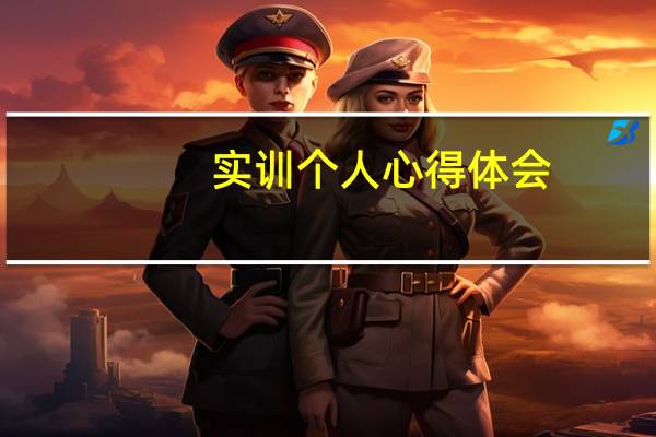 实训个人心得体会