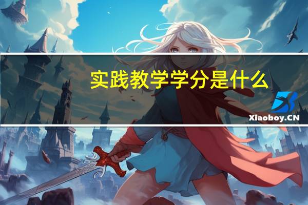 实践教学学分是什么