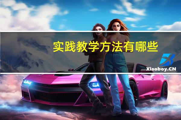 实践教学方法有哪些