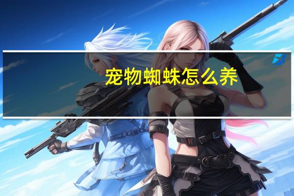 宠物蜘蛛怎么养