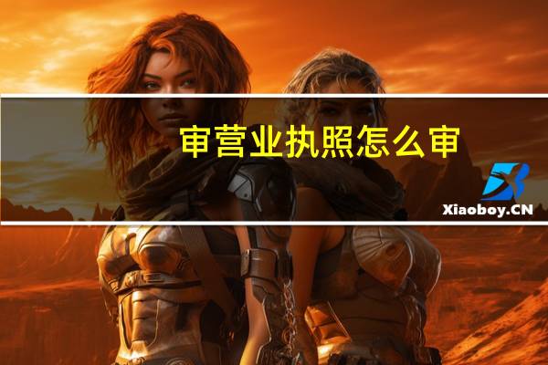 审营业执照怎么审