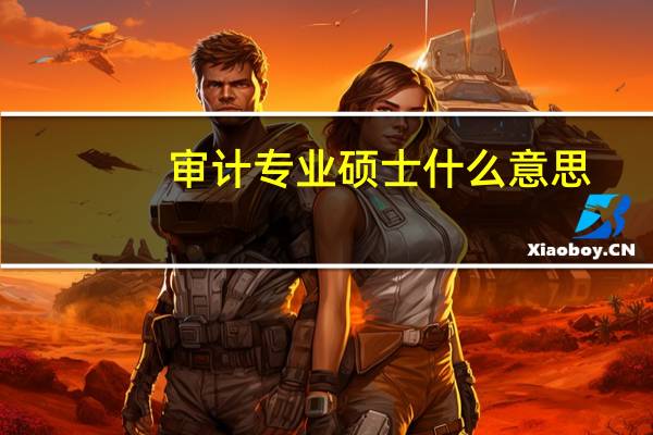 审计专业硕士什么意思