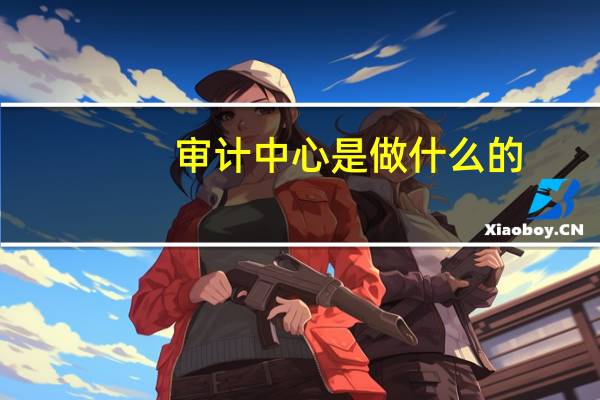 审计中心是做什么的