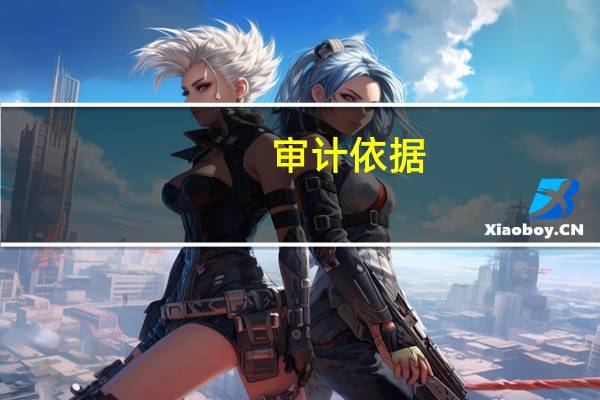 审计依据