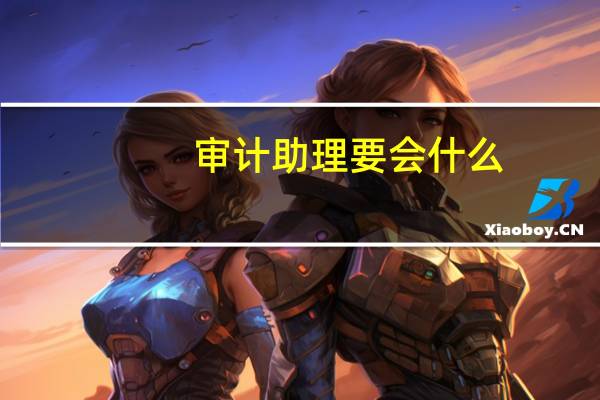 审计助理要会什么