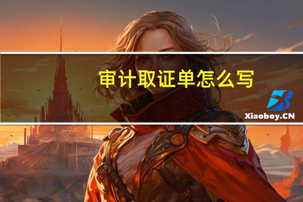 审计取证单怎么写