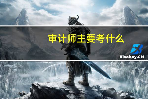 审计师主要考什么