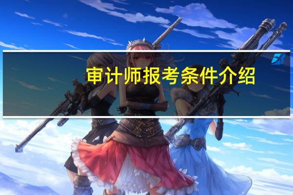 审计师报考条件介绍