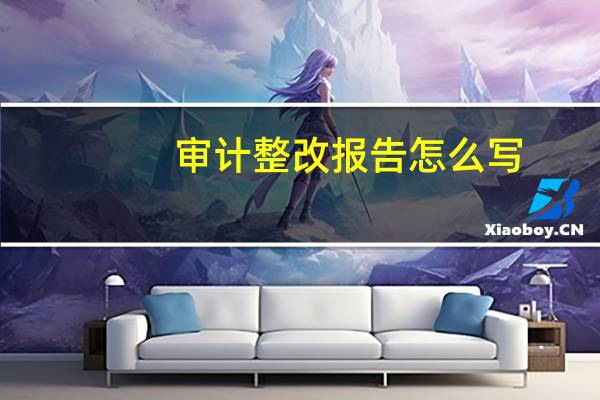 审计整改报告怎么写