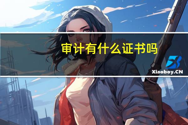 审计有什么证书吗