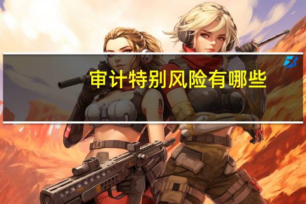 审计特别风险有哪些