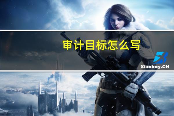 审计目标怎么写