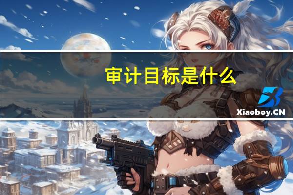 审计目标是什么