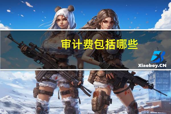 审计费包括哪些